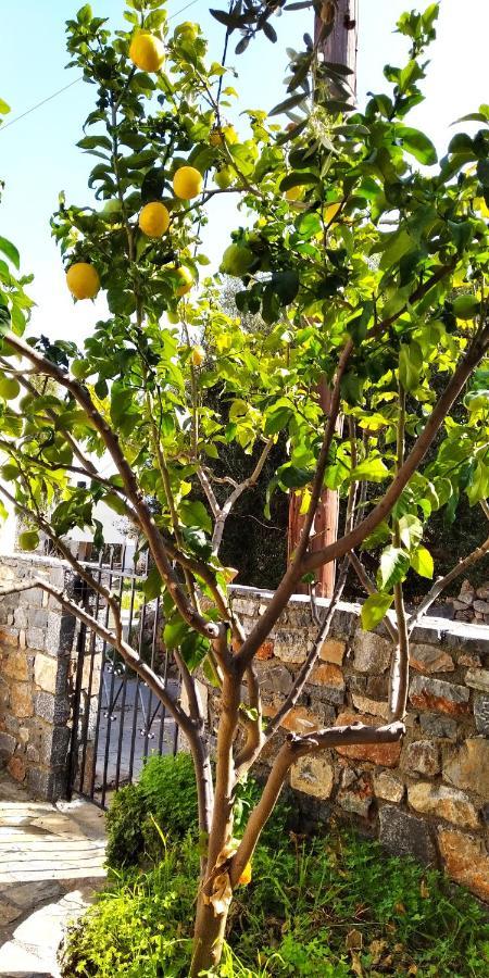 Traditional House In Elounda Dış mekan fotoğraf